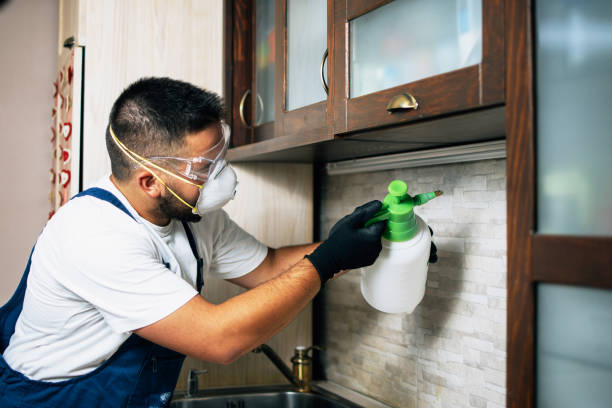Trusted Holiday City Berkeley, NJ Pest Control Experts