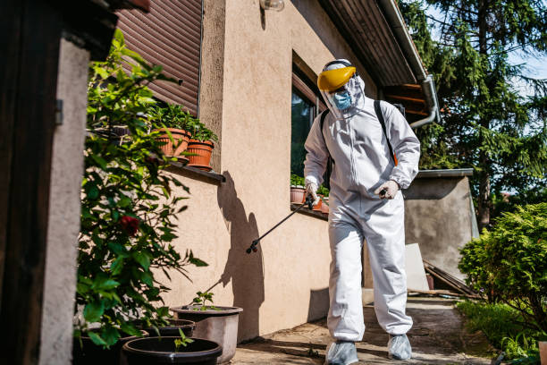 Best Pest Prevention Services  in Holiday City Berkeley, NJ