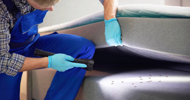 Best Wasp Removal Services  in Holiday City Berkeley, NJ