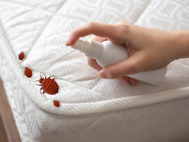 Best Affordable Pest Control Services  in Holiday City Berkeley, NJ