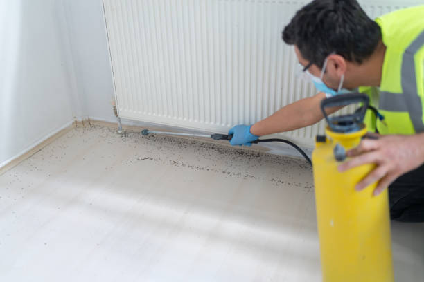 Best Mosquito Control Services  in Holiday City Berkeley, NJ